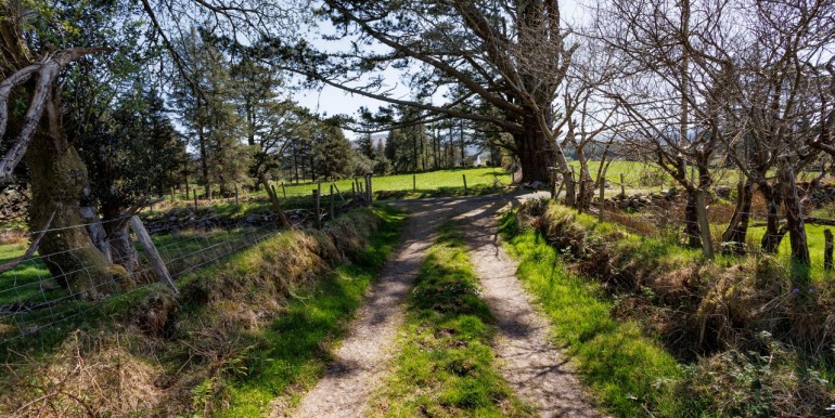 Alan Landers Photos_00047