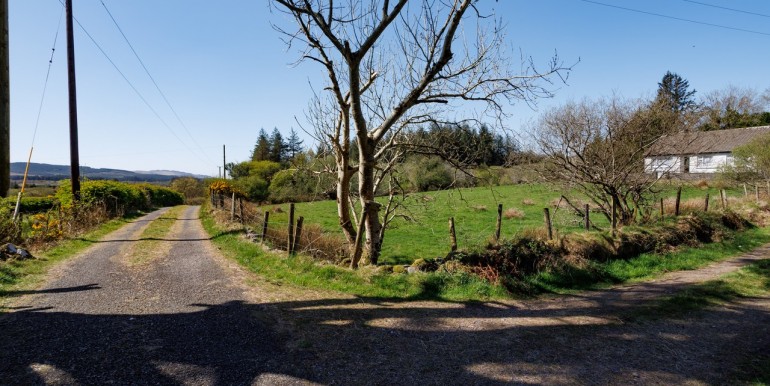 Alan Landers Photos_00048