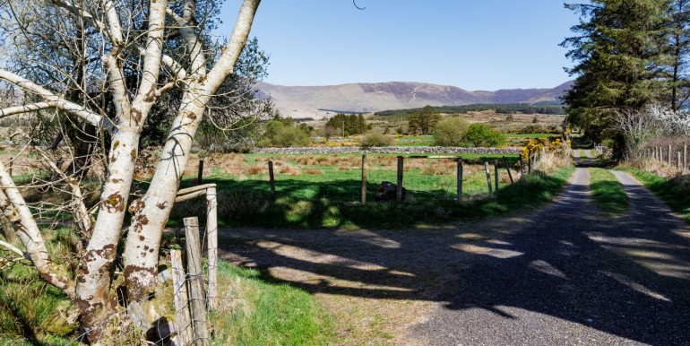 Alan Landers Photos_00049