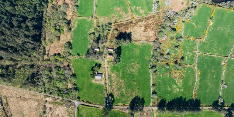 Alan Landers Photos_00051