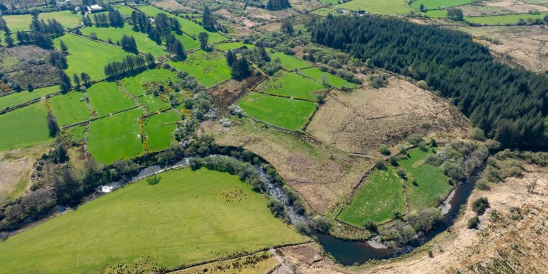 Alan Landers Photos_00060