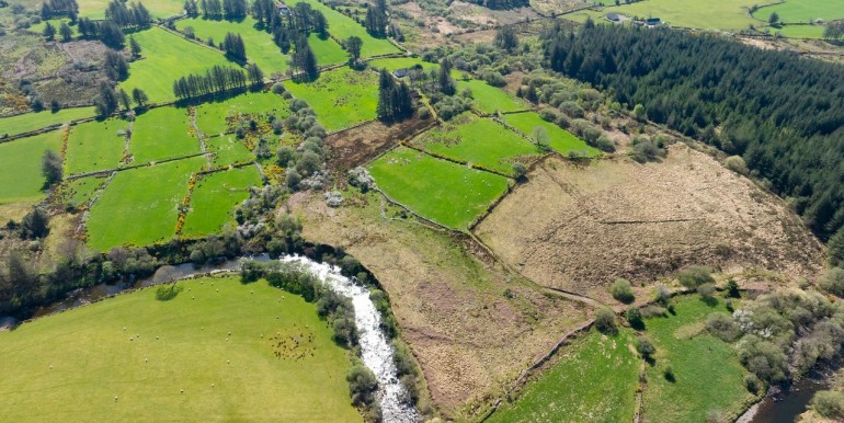 Alan Landers Photos_00061