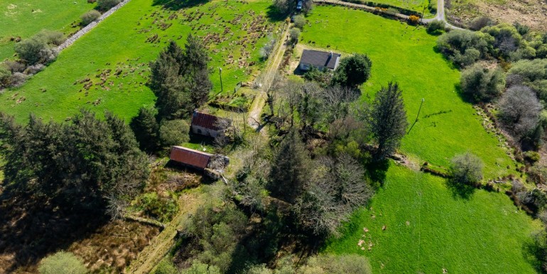 Alan Landers Photos_00064