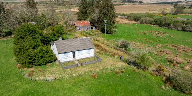 Alan Landers Photos_00066