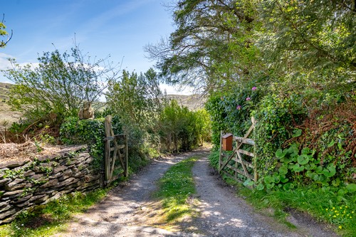 Photos_00007