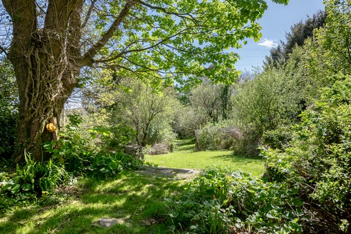 Photos_00017