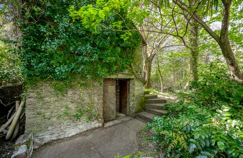 Photos_00019