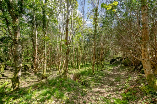 Photos_00021
