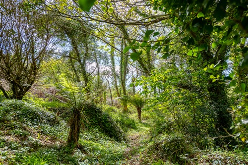 Photos_00022