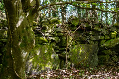 Photos_00024