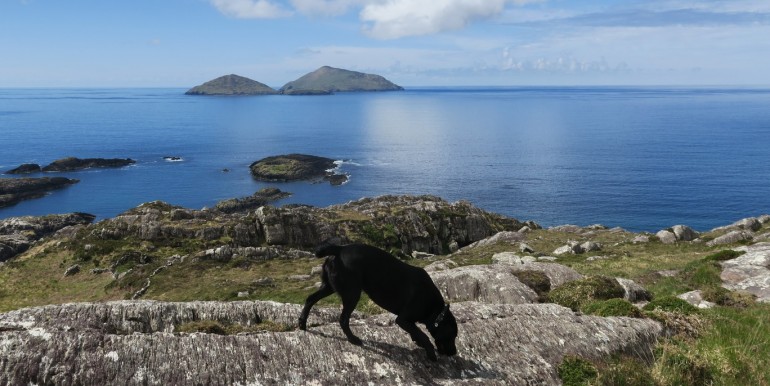 photos_00036